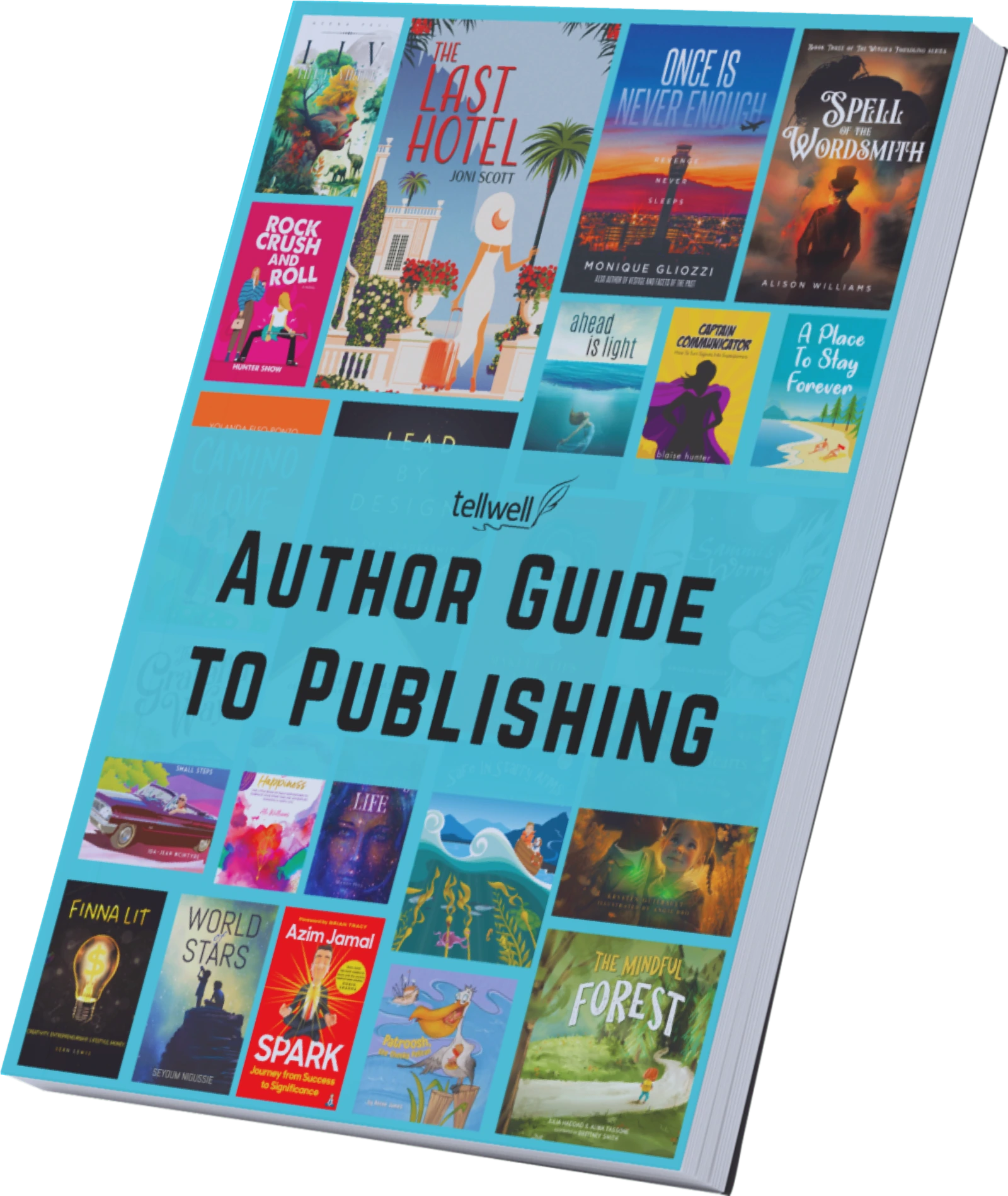 Publishing Guide Image