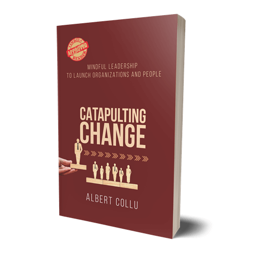 Catapulting Change : Mindful Leadership To Launch Organizations and People