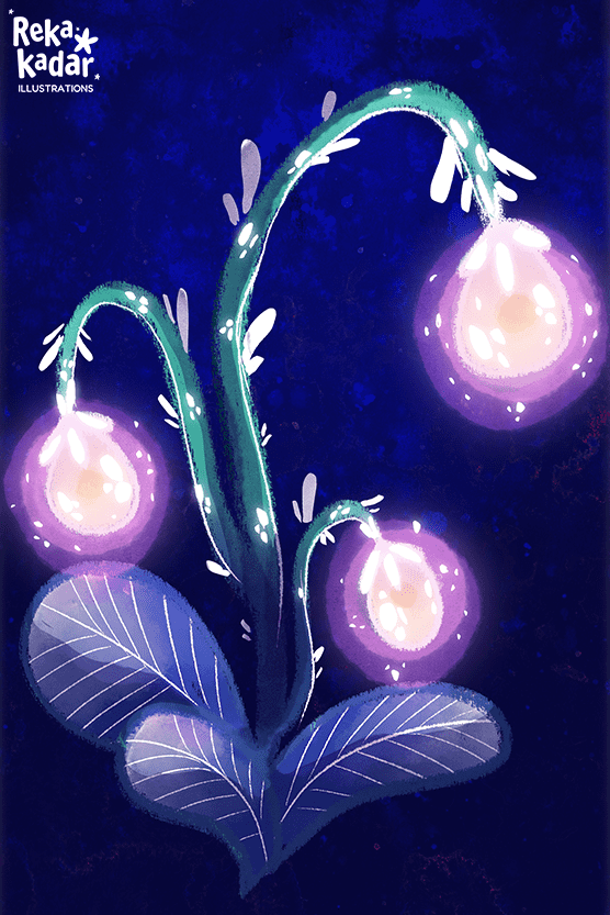 reka-basic-3.png